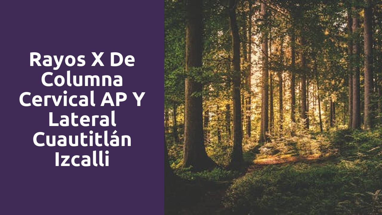 Rayos X de Columna Cervical AP y Lateral Cuautitlán Izcalli